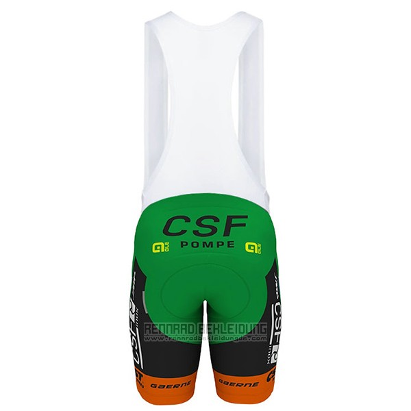 2017 Fahrradbekleidung Bardiani Csf Wei und Grun Trikot Kurzarm und Tragerhose